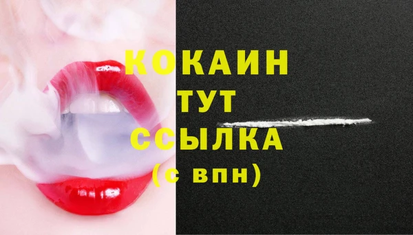 герыч Няндома