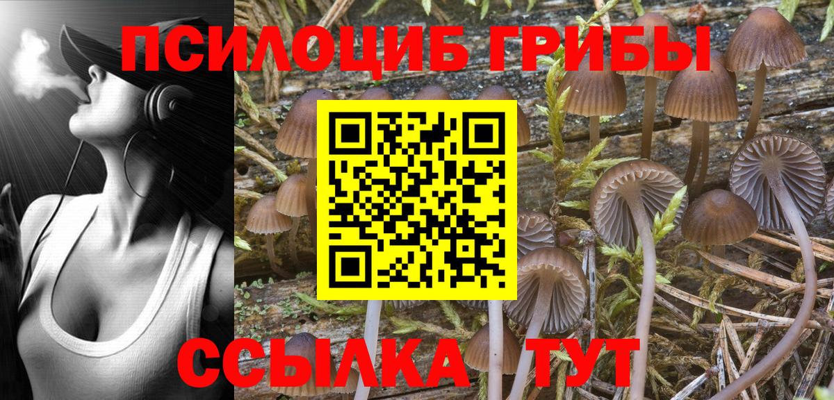Галлюциногенные грибы Cubensis Богородск